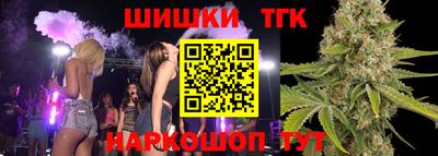 дмт Будённовск