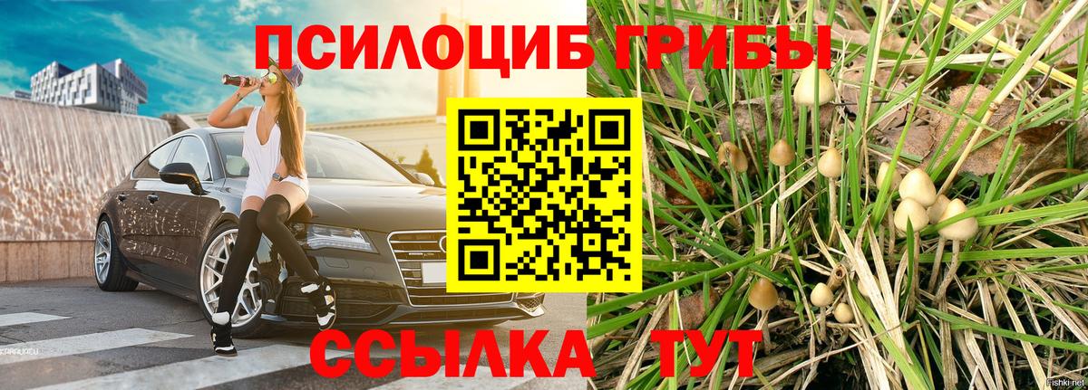 Сергиев Посад  Псилоцибиновые грибы мицелий  Вход с VPN 